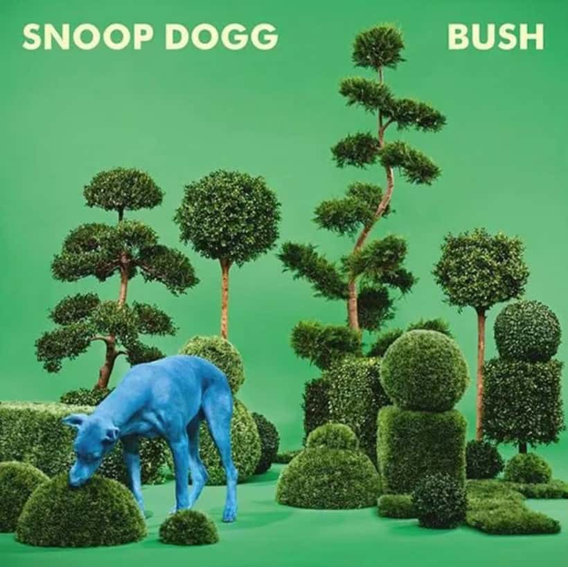 Stream Snoop Dogg Releases New Album BUSH