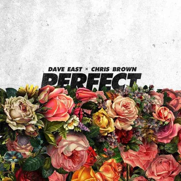 New Music Dave East (Ft. Chris Brown) - Perfect