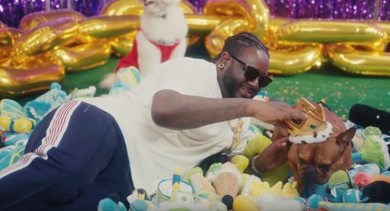 New Video T-Pain - It's My Dog Birthday