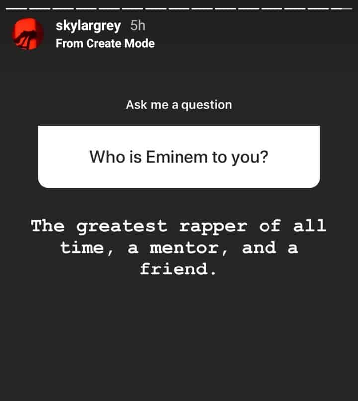 Skylar Grey Reveals Who is Eminem To Her