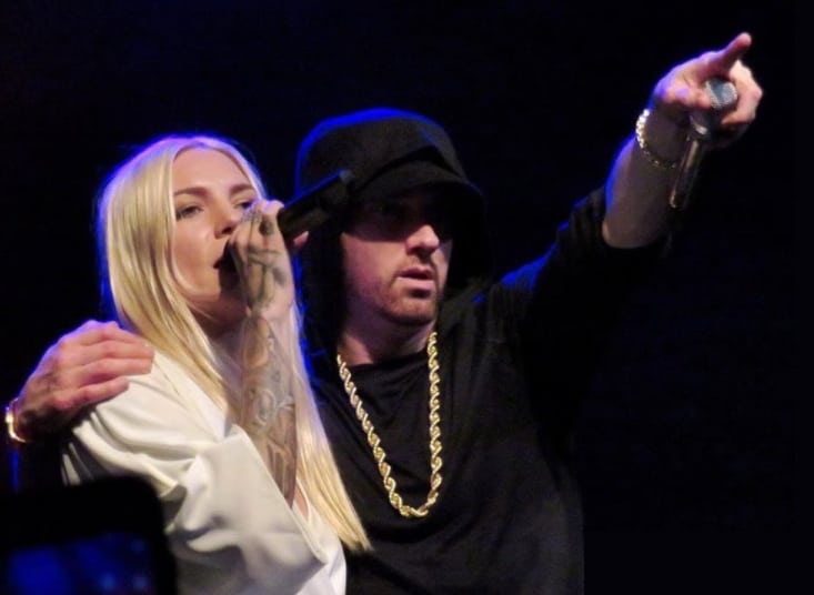 Skylar Grey Says Eminem Once Told Her I Can't Have You on Every Song of My Album