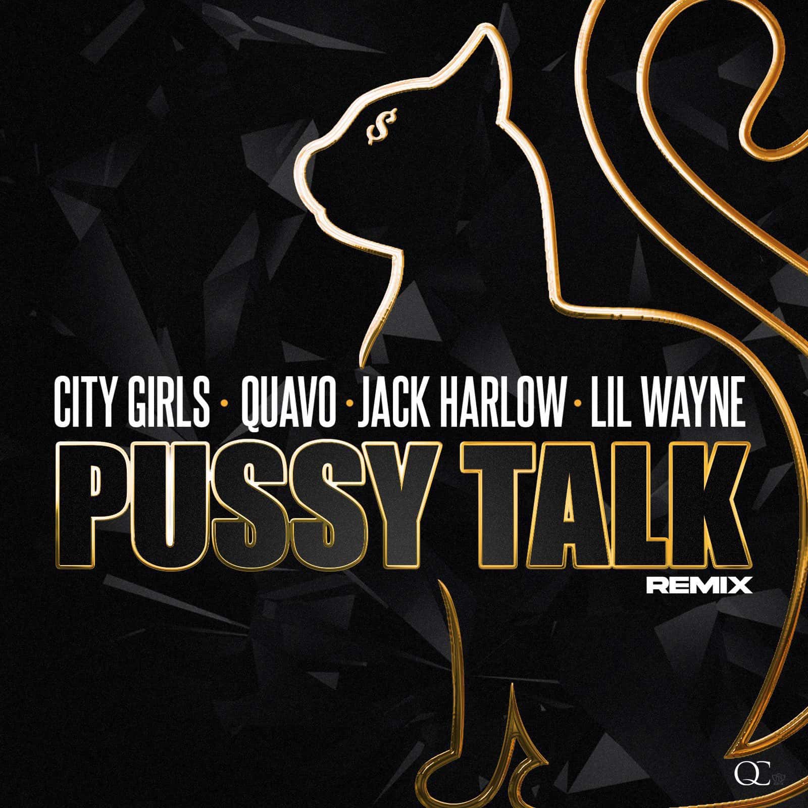 New Music City Girls - Pssy Talk (Remix) (Feat. Lil Wayne, Quavo, Jack Harlow)
