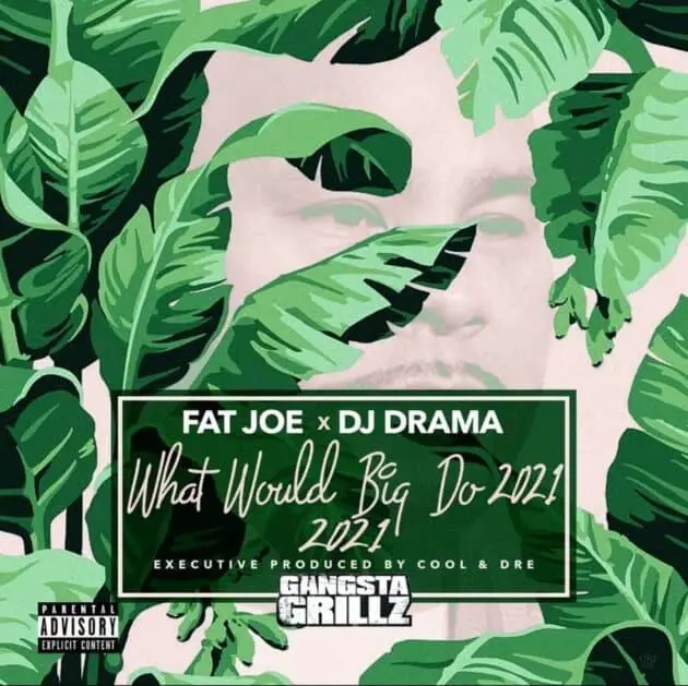 Fat Joe & DJ Drama Releases What Would Big Do 2021 Project