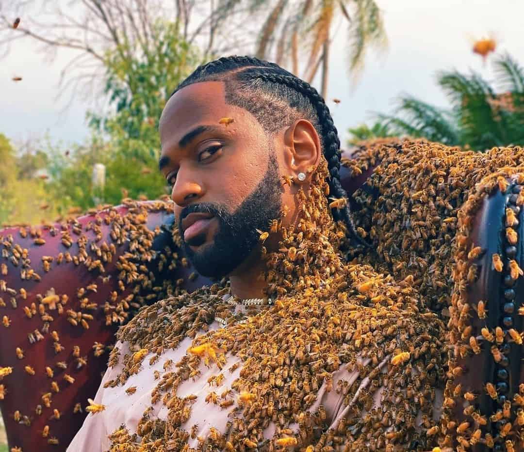 Big Sean Covered Himself In Swarm of 65,000 Bees For New Music Video