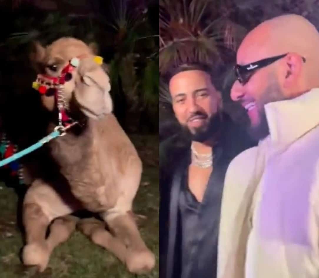 Swizz Beatz Gifted French Montana A Camel On Rapper's 38th Birthday