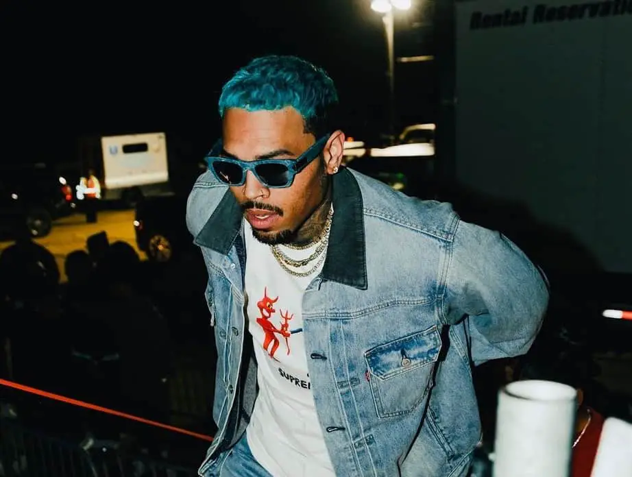 Chris Brown Releases A New Single Summer Too Hot